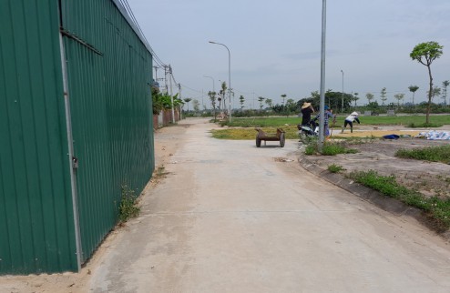 Bán đất đấu giá Thanh Lâm, Mê Linh, đối diện HUD Mê Linh Central, DT88m2 nhỉnh 3 tỷ.